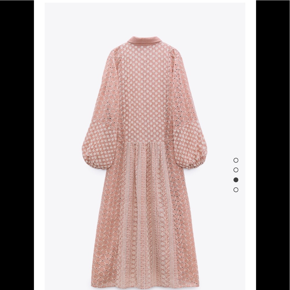 BLOGGER FAV Zara Dress embroidered midi dress - Picture 4 of 5